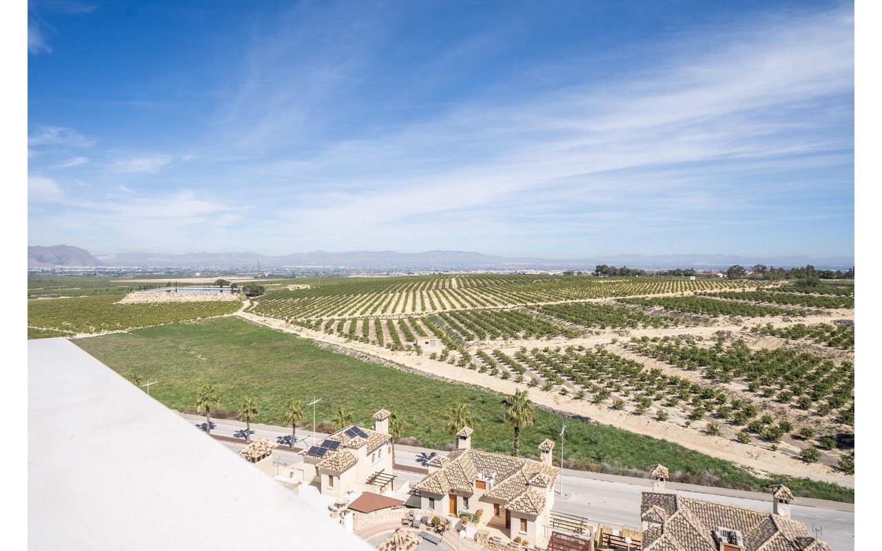 Obra nueva - Villa - Algorfa - La finca golf