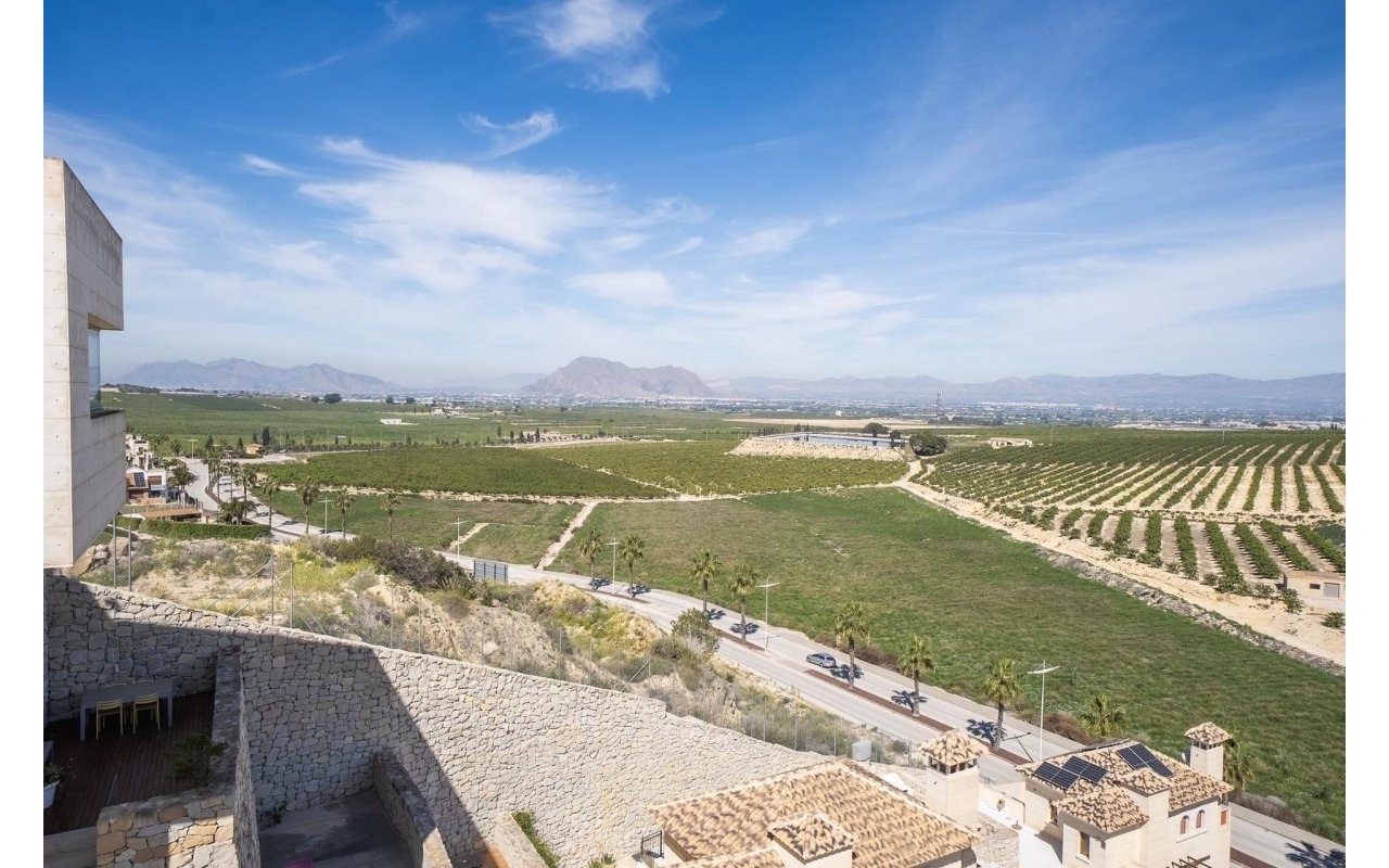 Obra nueva - Villa - Algorfa - La finca golf