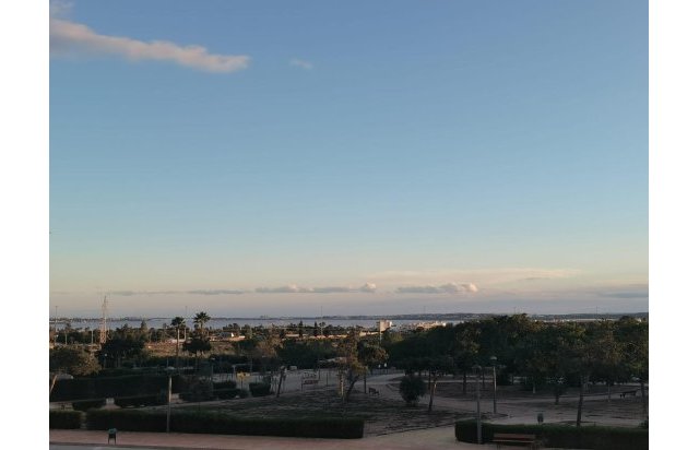 Obra nueva - Villa - Los Montesinos - La herrada