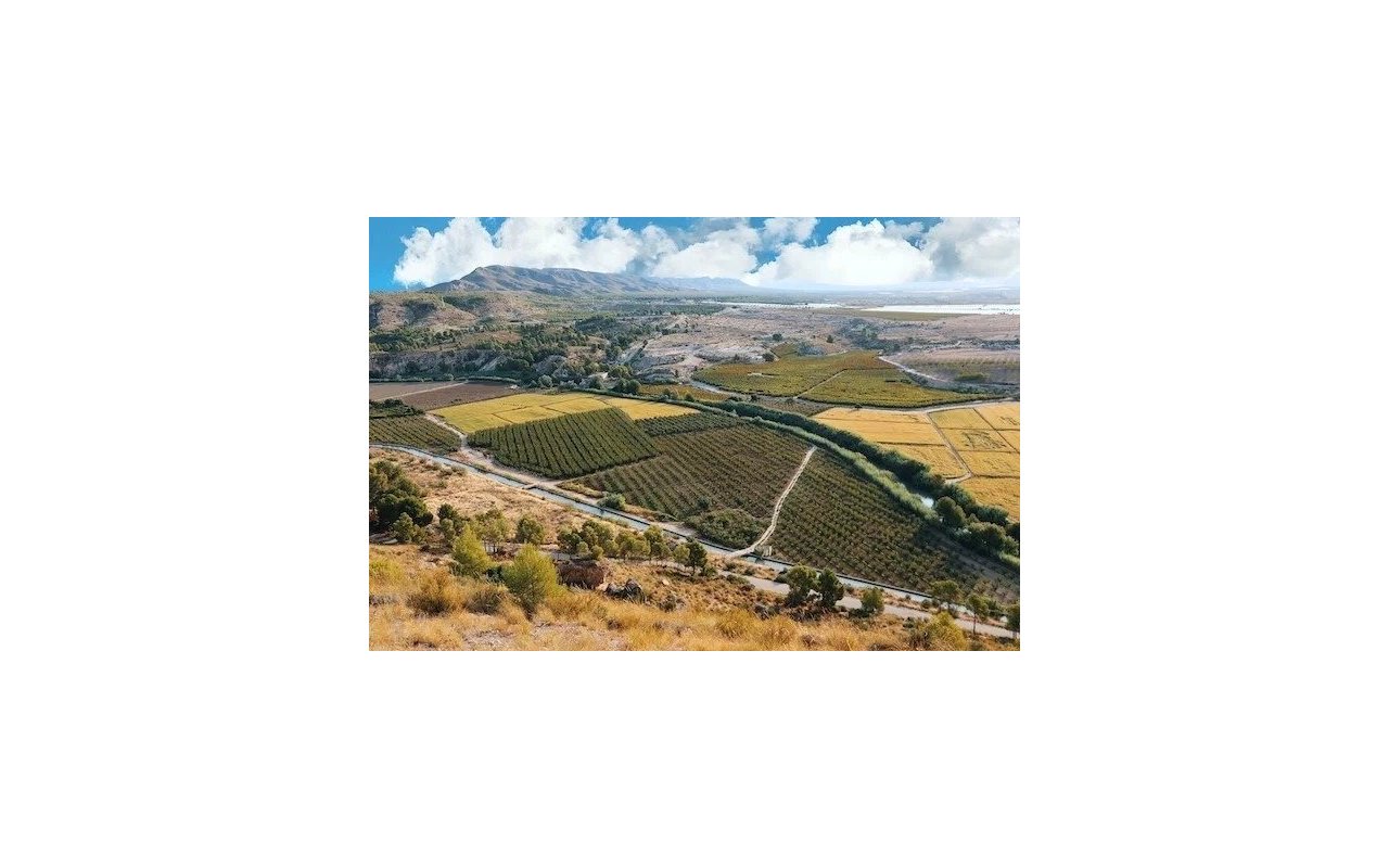 New Build - Villa - Calasparra - Coto riñales