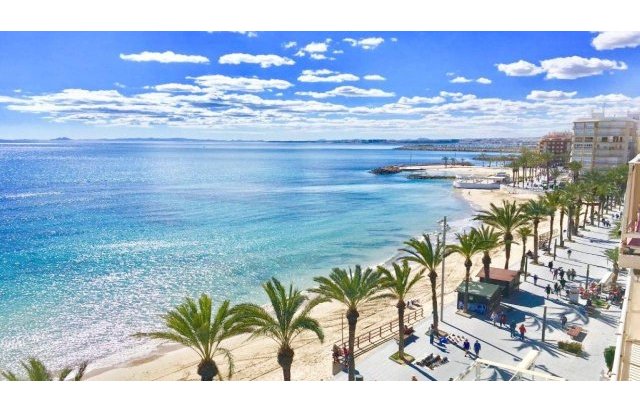 Rynek pierwotny - Villa - Torrevieja - Lago Jardín II