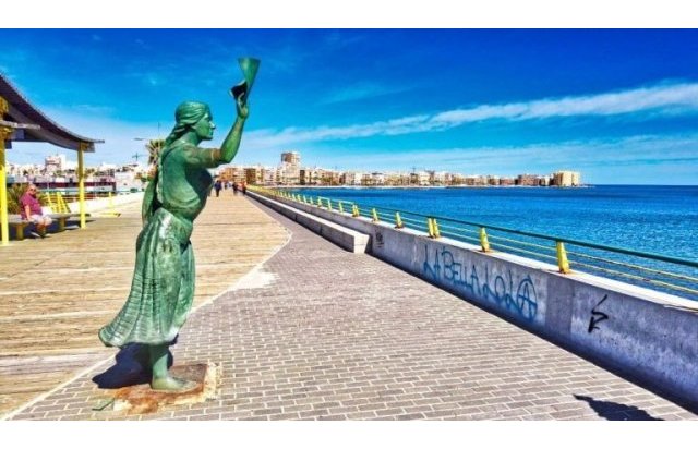 Rynek pierwotny - Villa - Torrevieja - Aguas Nuevas