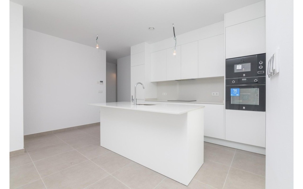 New Build - Villa - Polop - La Alberca