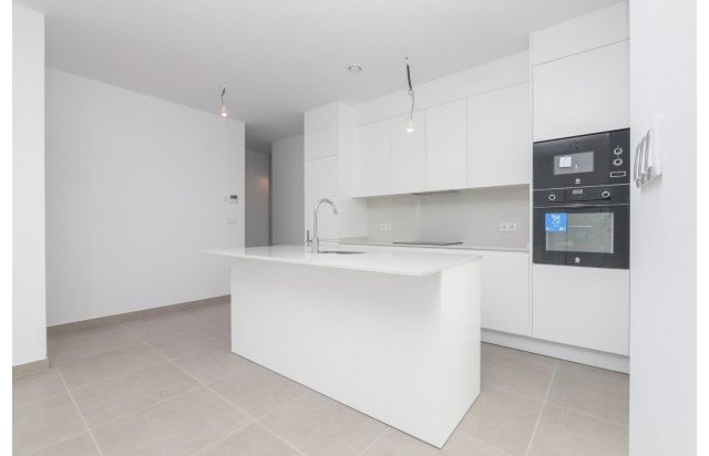 New Build - Villa - Polop - La Alberca