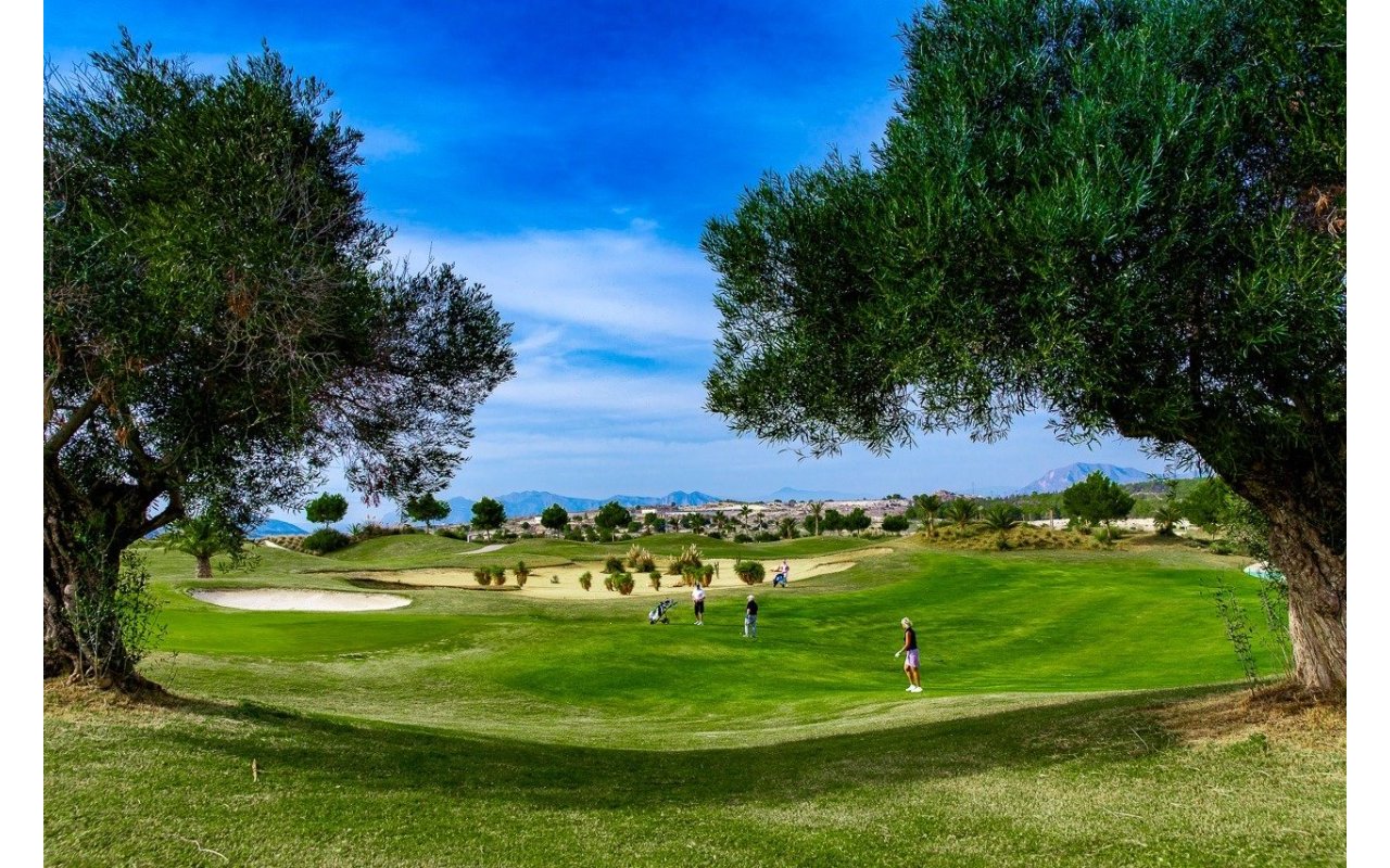Rynek pierwotny - Bungalow - Orihuela - Vistabella Golf