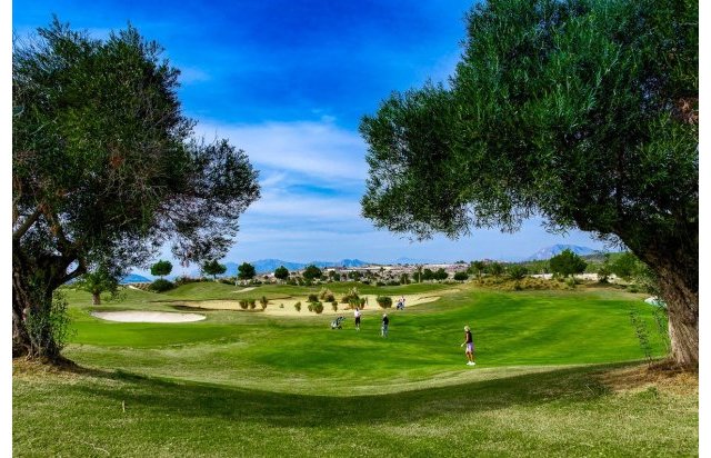 Rynek pierwotny - Bungalow - Orihuela - Vistabella Golf