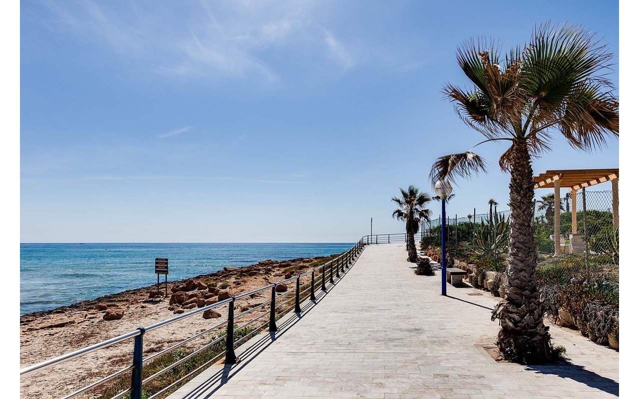 Rynek pierwotny - Villa - Orihuela Costa - La Zenia