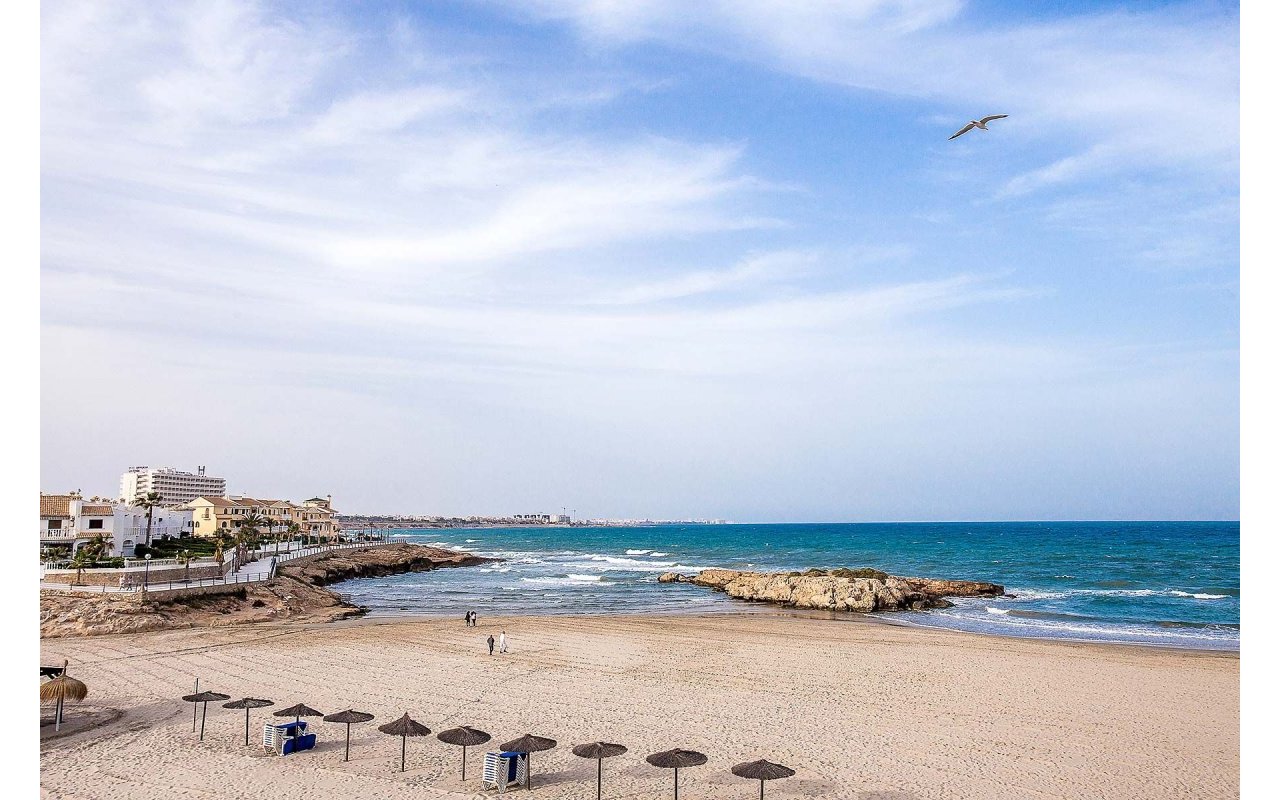 Rynek pierwotny - Villa - Orihuela Costa - La Zenia
