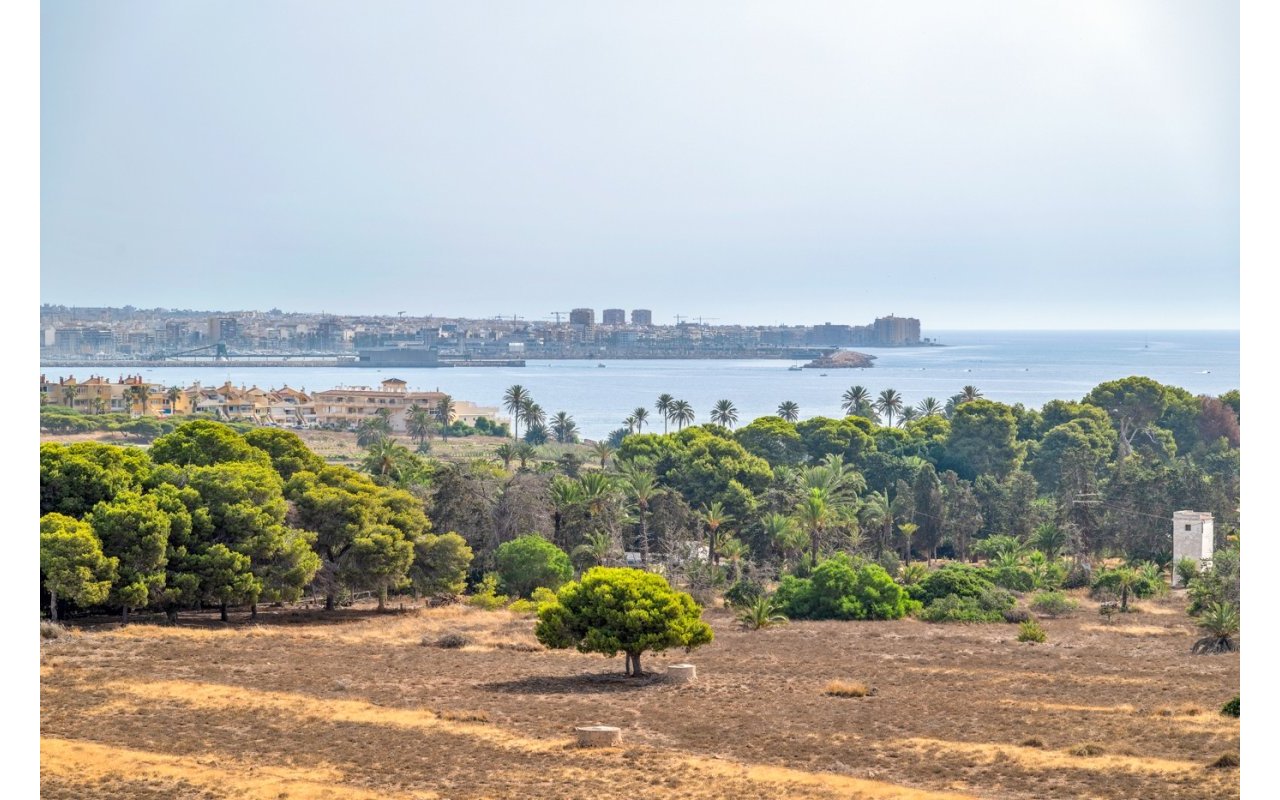 Reventa - Piso - Torrevieja - Punta Prima