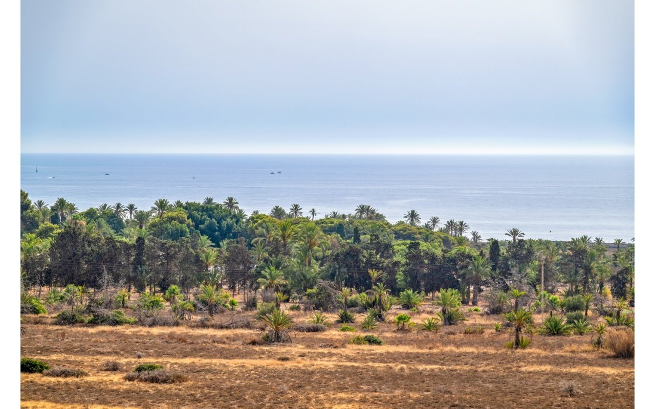 Reventa - Piso - Torrevieja - Punta Prima