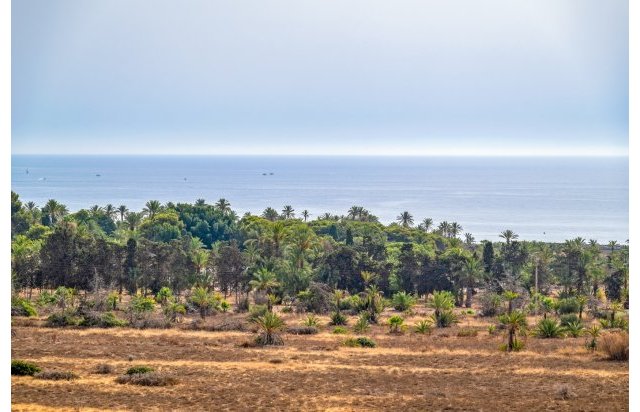 Reventa - Piso - Torrevieja - Punta Prima