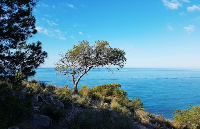 New Build - Apartment - Villajoyosa - Playa Les Torres