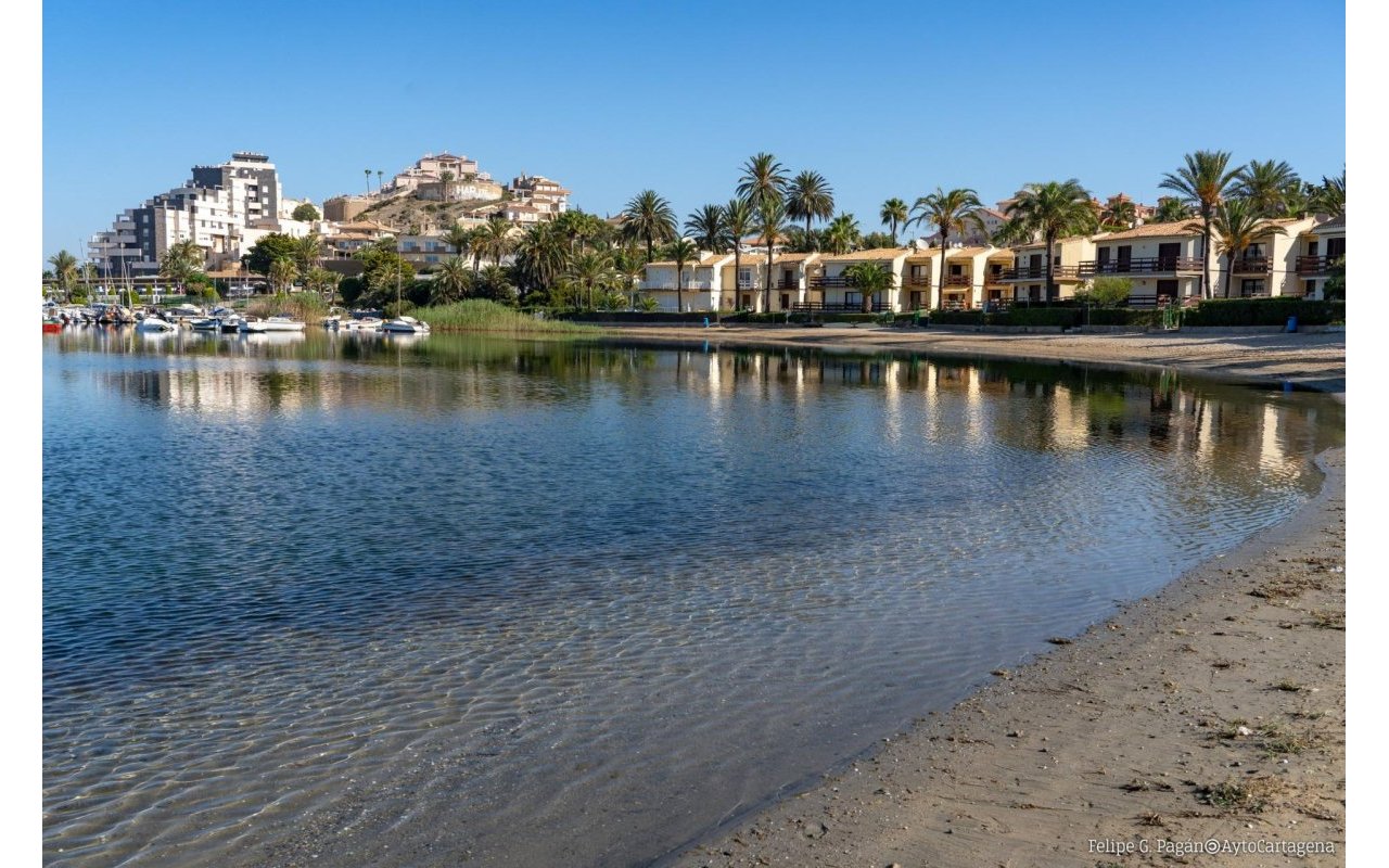 Rynek pierwotny - Bungalow - La Manga Club