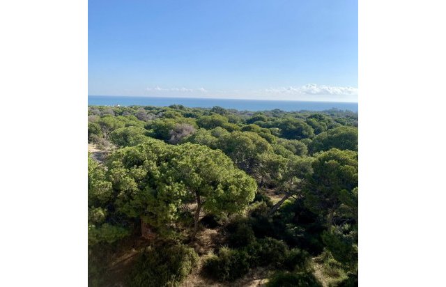 New Build - Penthouse - Guardamar del Segura - Centro