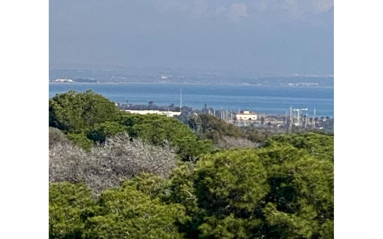 New Build - Penthouse - Guardamar del Segura - Centro