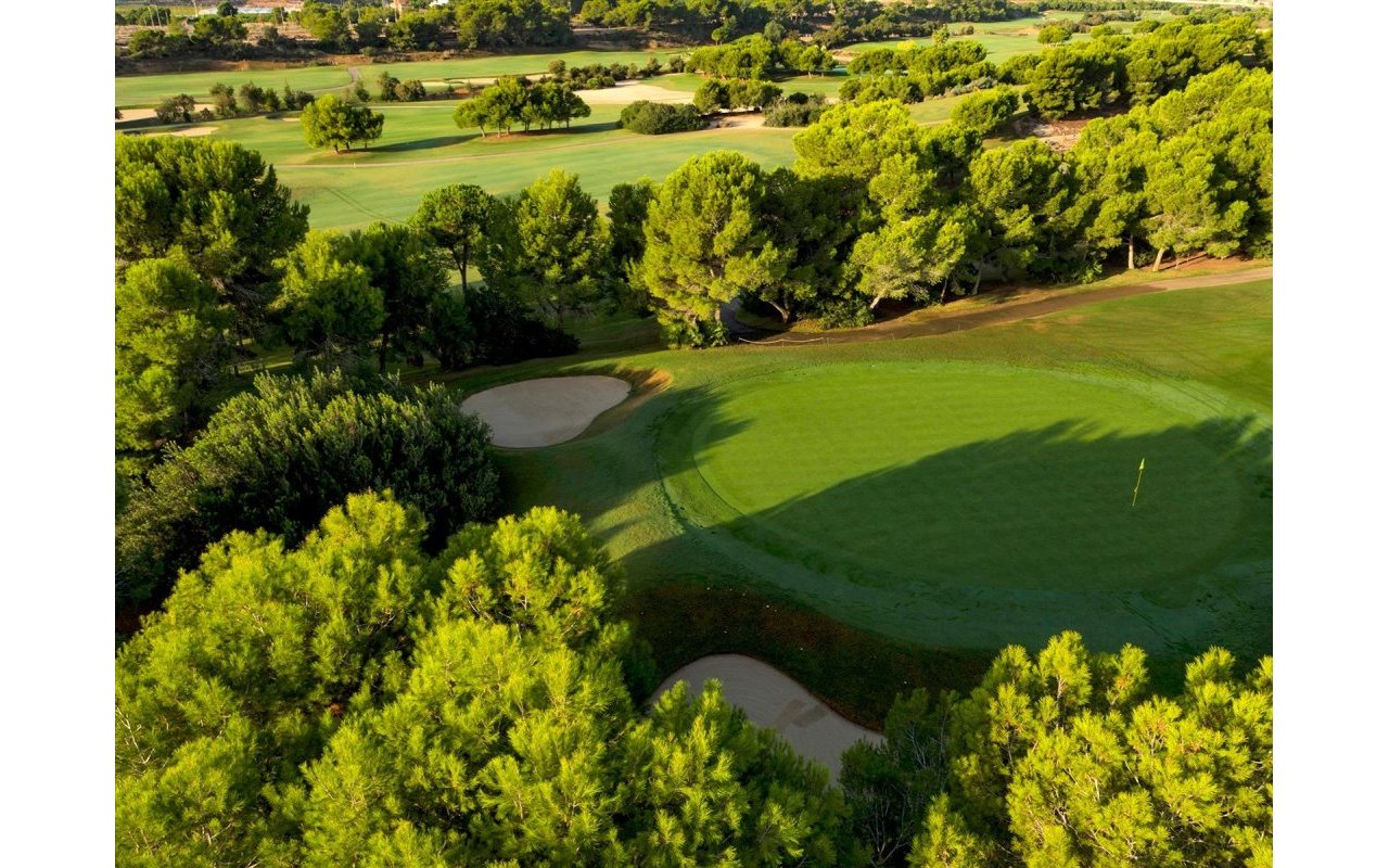 Obra nueva - Villa - Pilar de la Horadada - Lo Romero Golf