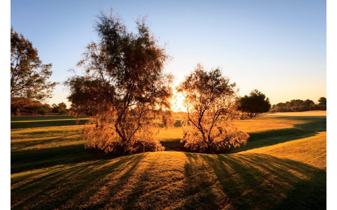 Obra nueva - Villa - Pilar de la Horadada - Lo Romero Golf