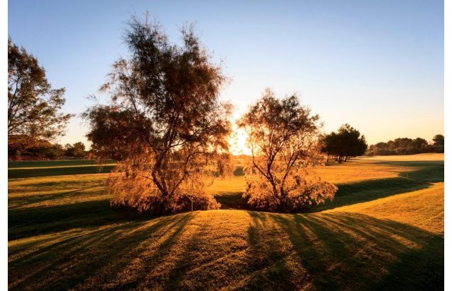 Obra nueva - Villa - Pilar de la Horadada - Lo Romero Golf