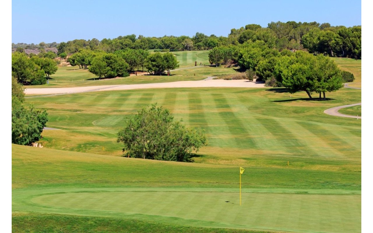 Obra nueva - Villa - Pilar de la Horadada - Lo Romero Golf