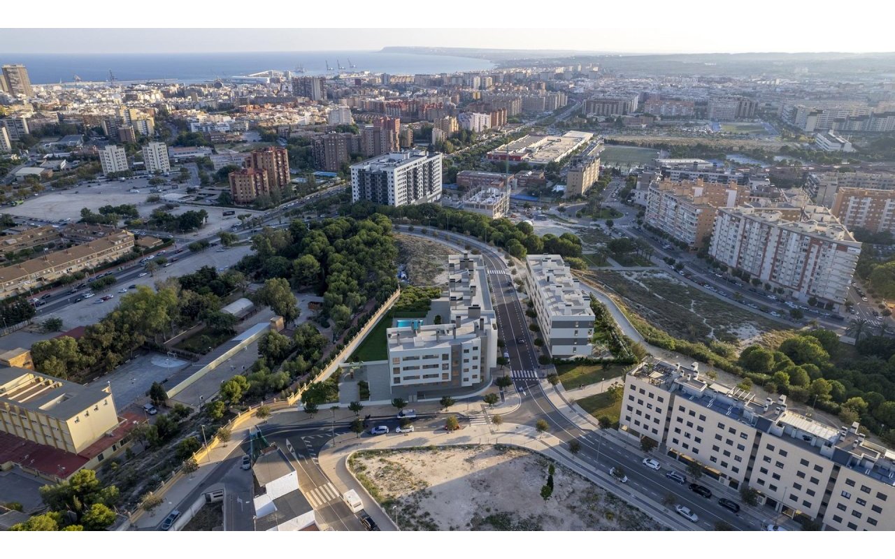 Rynek pierwotny - Daszek - Alicante - San Agustín-PAU 2