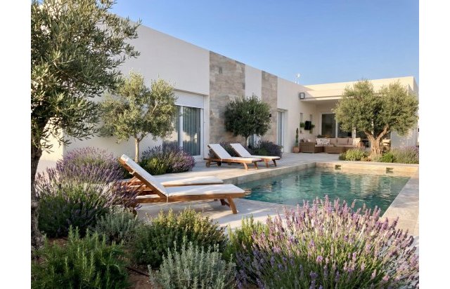 Obra nueva - Villa - Pinoso - Casas Pastor