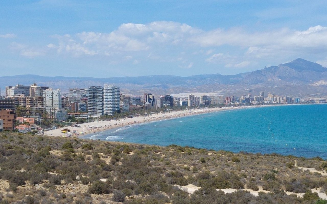 Rynek pierwotny - Apartament - San Juan Alicante - Franc Espinós