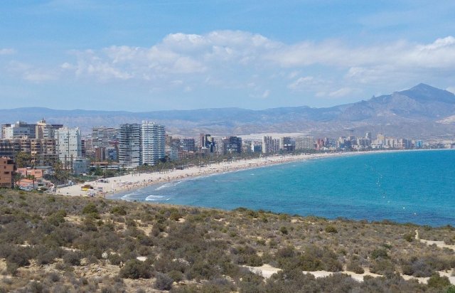 Rynek pierwotny - Apartament - San Juan Alicante - Franc Espinós