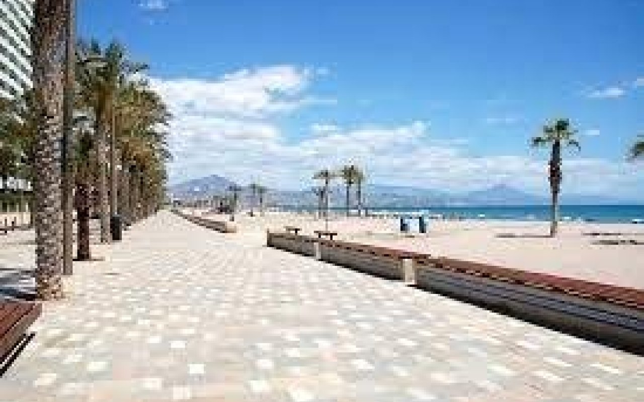 Rynek pierwotny - Apartament - San Juan Alicante - Franc Espinós