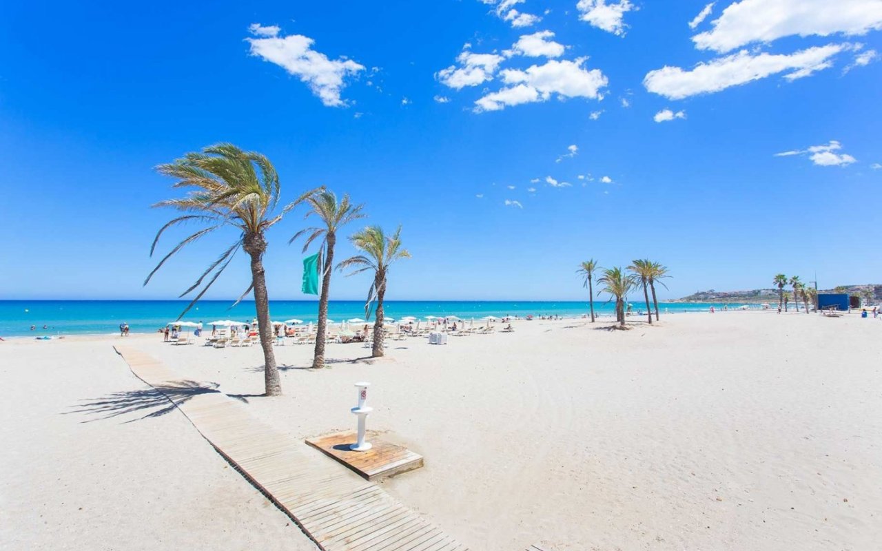 Rynek pierwotny - Apartament - San Juan Alicante - Franc Espinós