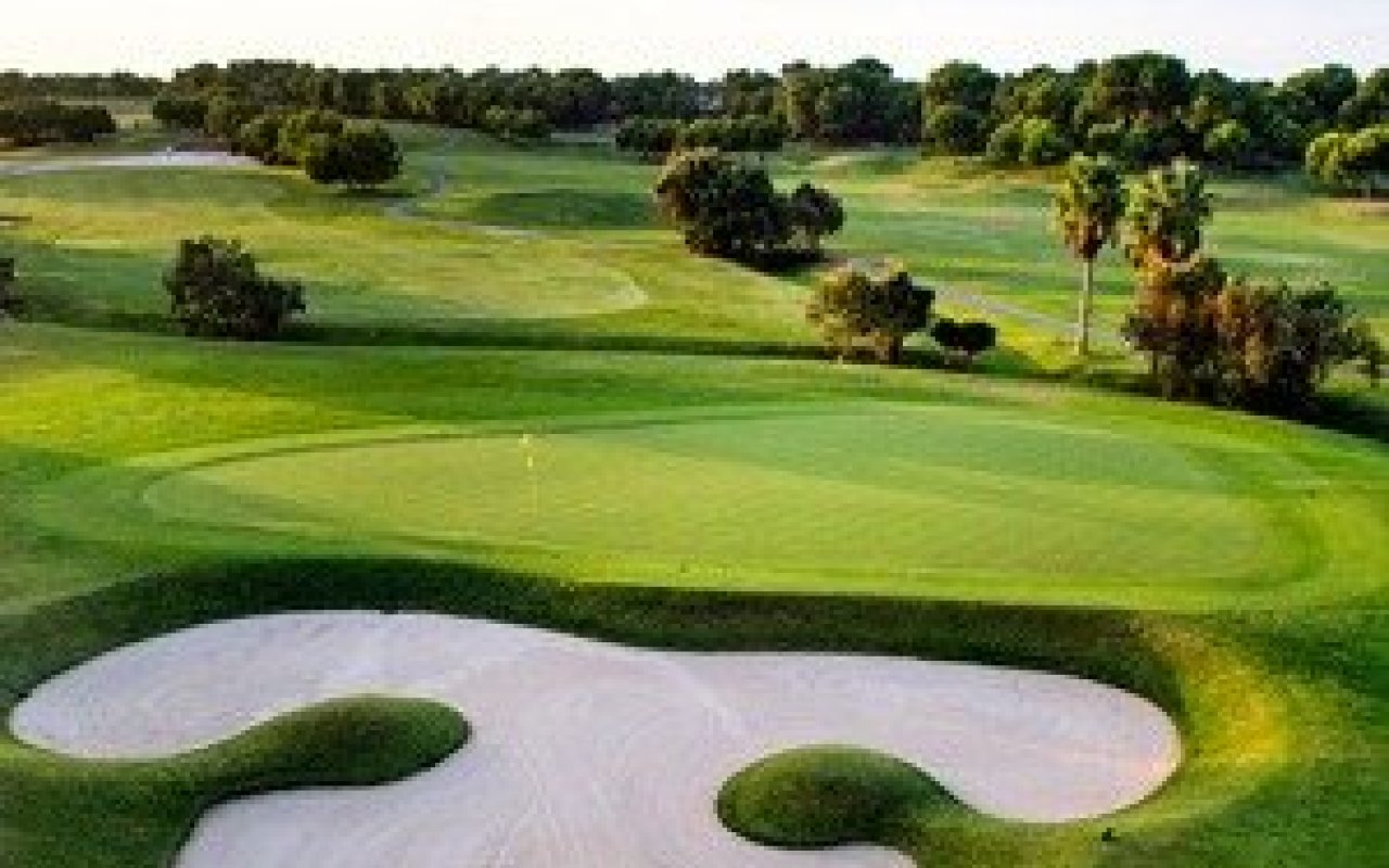 Obra nueva - Villa - Pilar de la Horadada - Lo Romero Golf