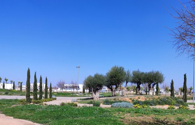 Obra nueva - Piso - Torre Pacheco - Centro